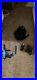 Paintball gun used